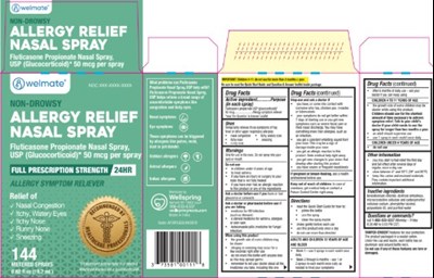 Package Label.principal Display Panel (50 mcg per spray (120 Metered Sprays)